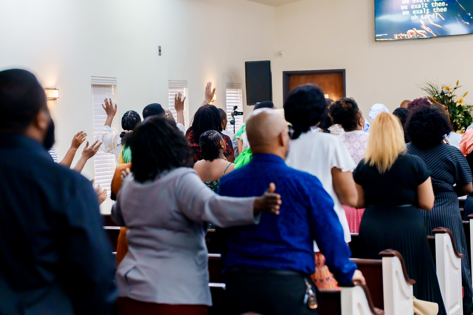 Ordination - 507 (1)
